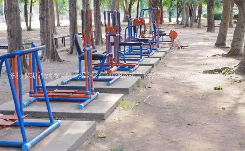 XC体育