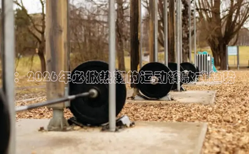 XC体育